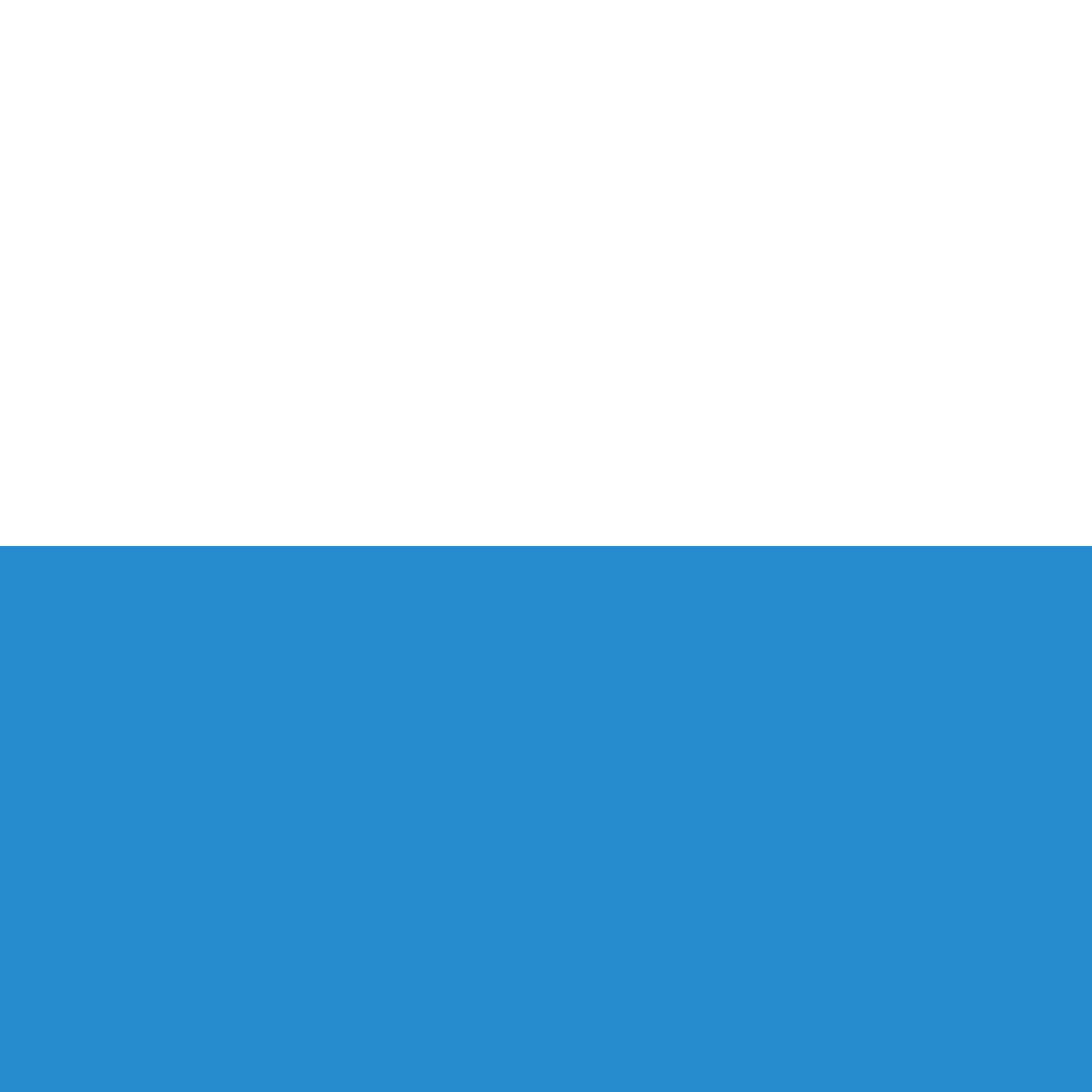 Bandera Cantón