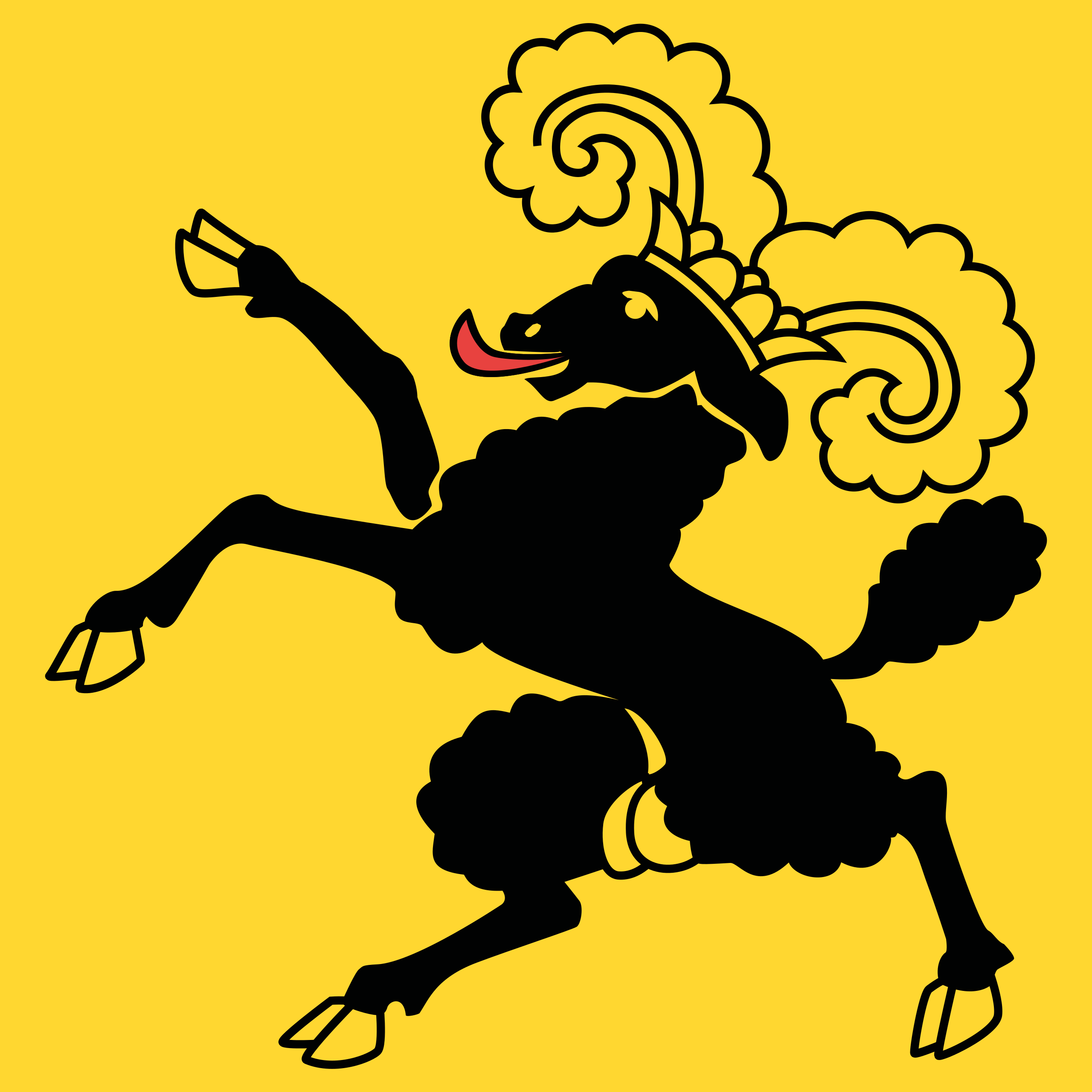Bandera Cantón