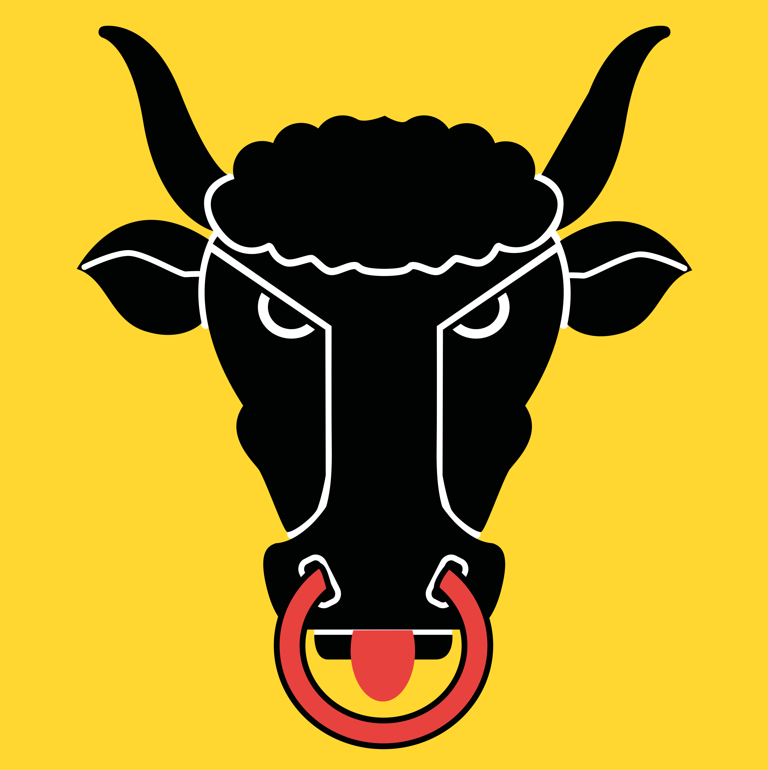 Bandera Uri